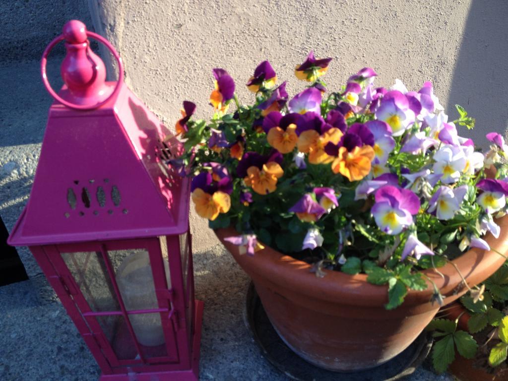 B&B La Vie En Rose Basel Dış mekan fotoğraf