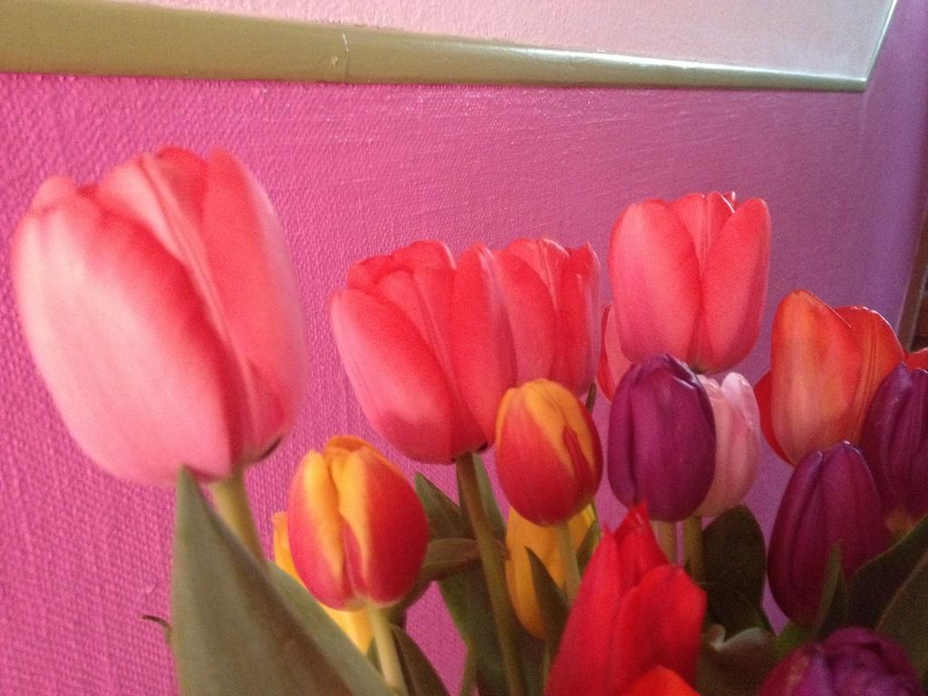 B&B La Vie En Rose Basel Dış mekan fotoğraf