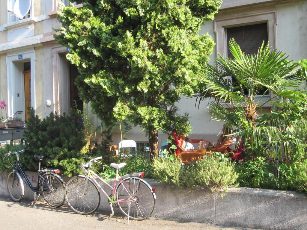 B&B La Vie En Rose Basel Dış mekan fotoğraf
